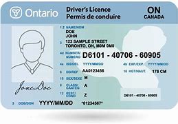 Canadian drivers license