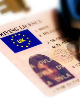 UK Driving License